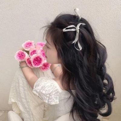 红海龟